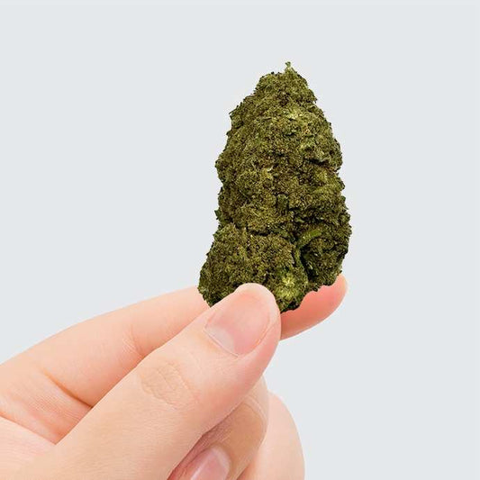 Fleur de CBD - PINK LADY KUSH – détail 2