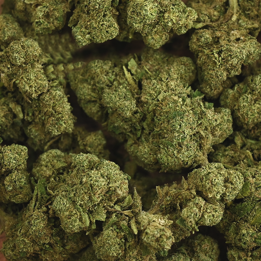 Fleur de CBD - RAINBOW KUSH – détail 4