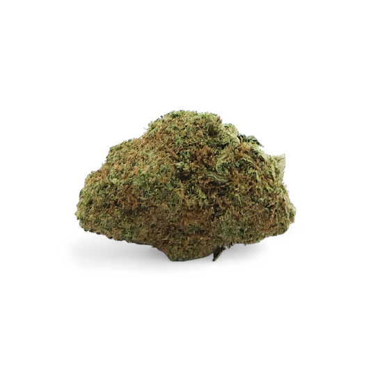 Fleur CBD TROPICAL HAZE Indoor Premium Suisse – détail 2