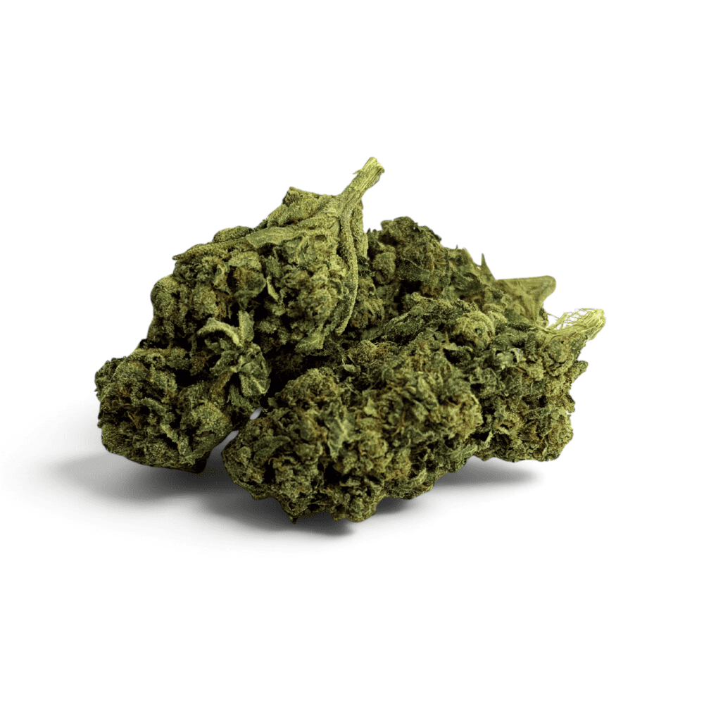 Fleur de CBD Tropical Haze Indoor – détail 4