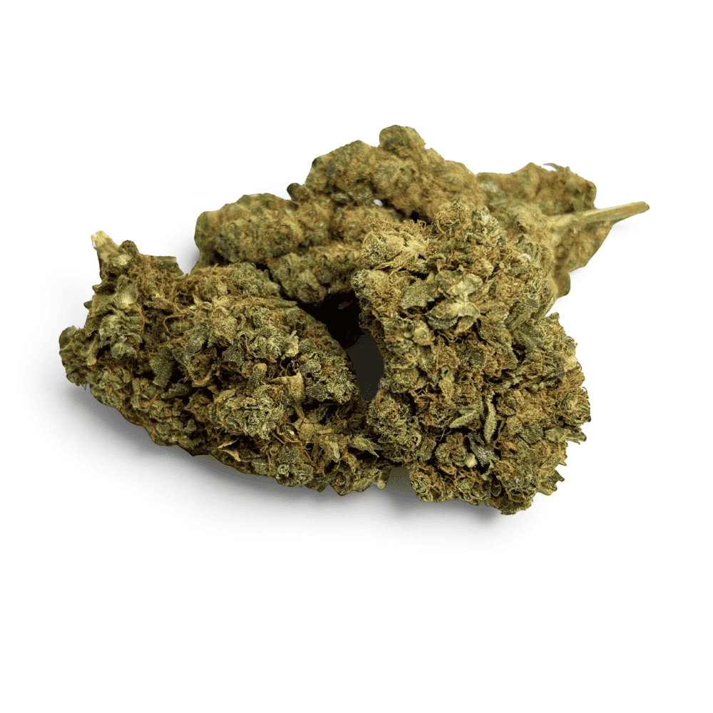 Fleur de CBD Plutonium Indoor – détail 4