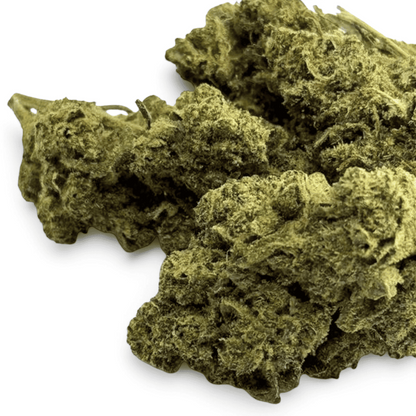 Fleur de CBD - LEMON HAZE – détail 3