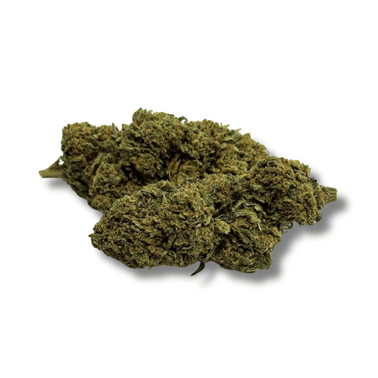 Fleur de CBD Gorilla Greenhouse – vue principale