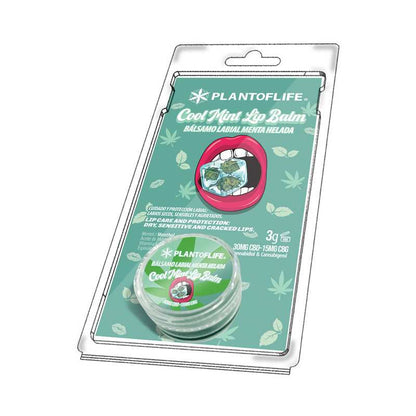 Baume lèvres CBD & CBG menthe | PLANT OF LIFE - CBDelys