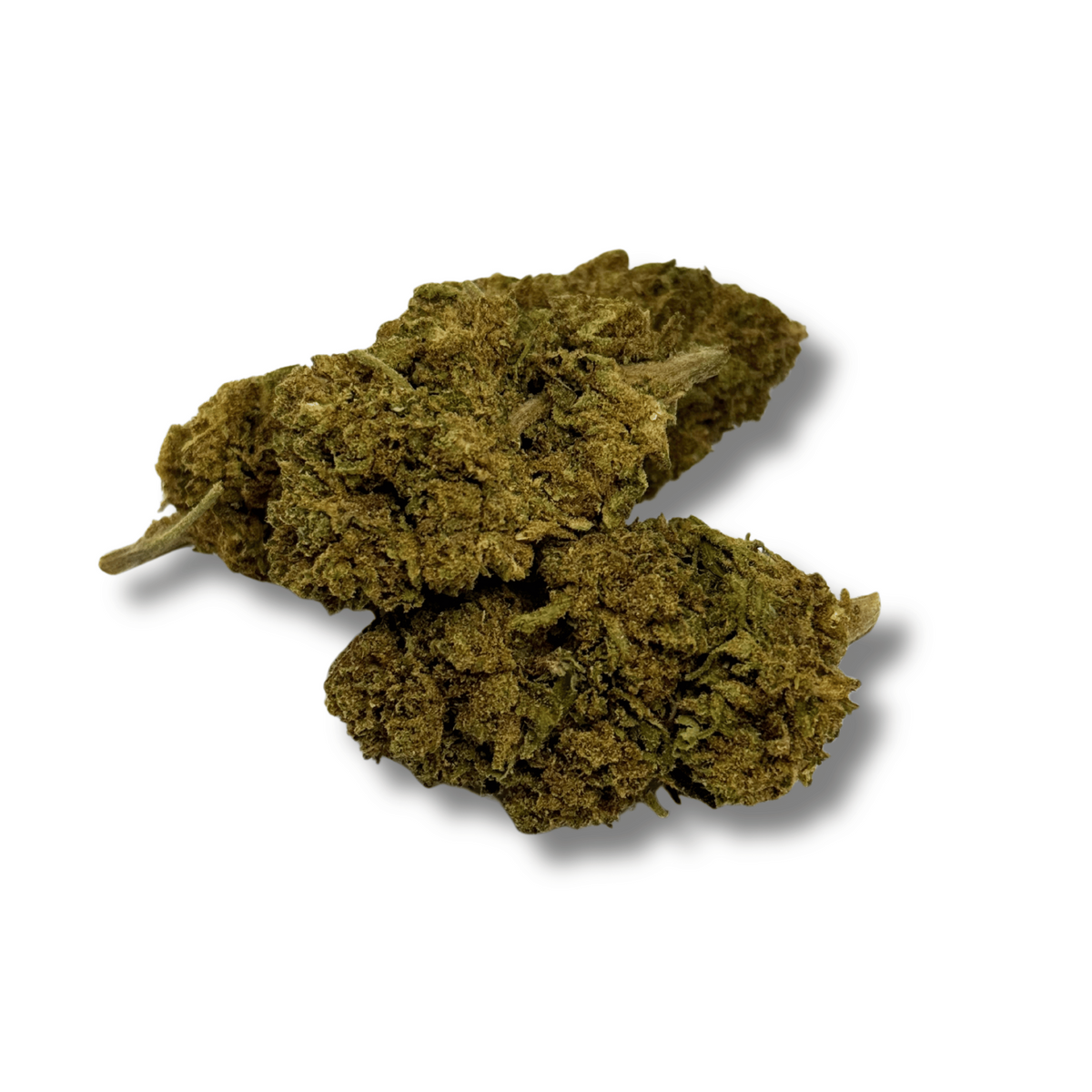 Fleur de CBD - BUBBLEGUM – vue principale