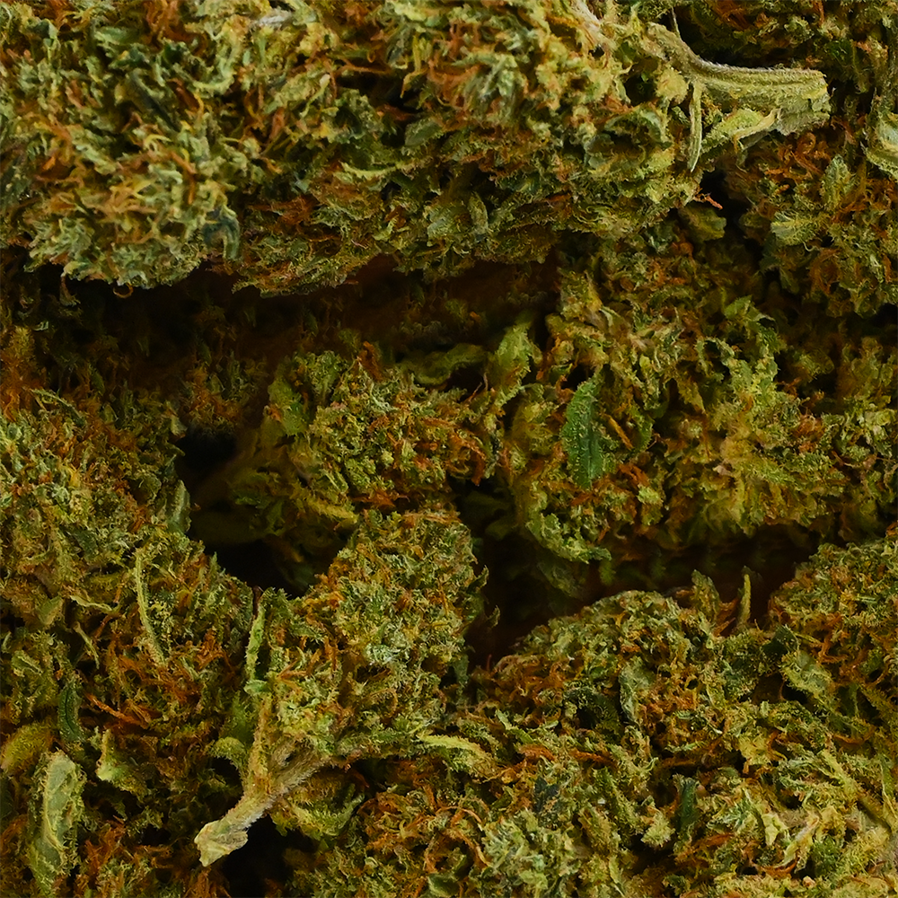 Fleur de CBD - SHERBET - CBDelys
