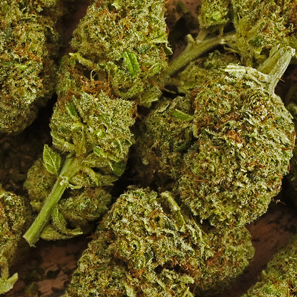 Fleur de CBD - OG DIAMOND – détail 3