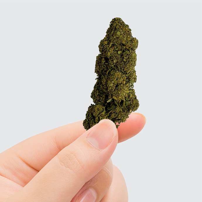 Fleur de CBD - CHARLOTTE'S WEB – détail 2