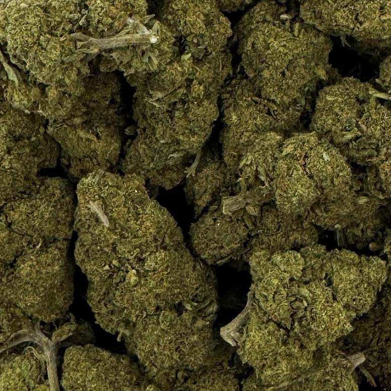 Fleur de CBD - CHARLOTTE'S WEB – détail 3