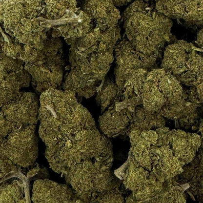Fleur de CBD - CHARLOTTE'S WEB – détail 3