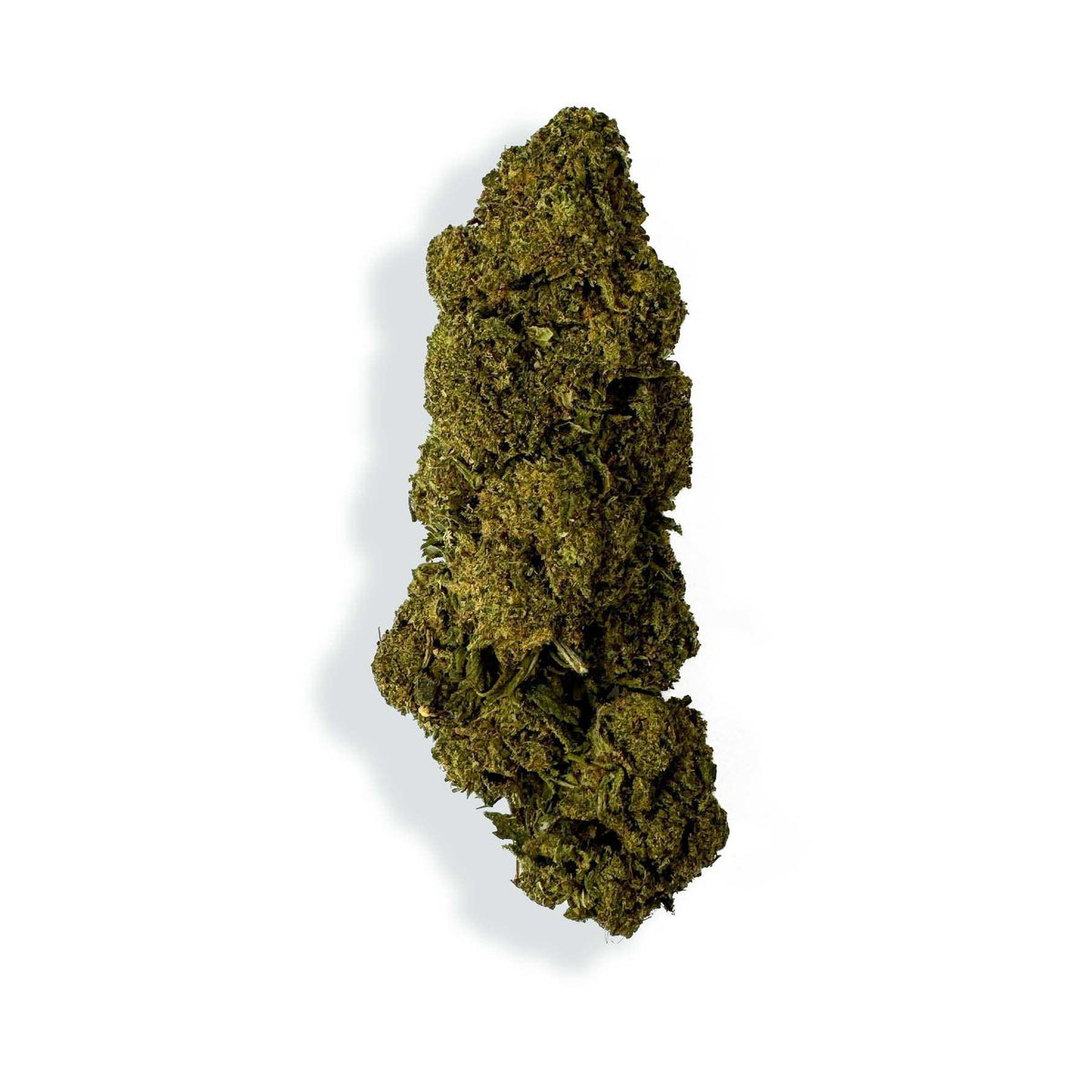Fleur de CBD - CHARLOTTE'S WEB – vue principale