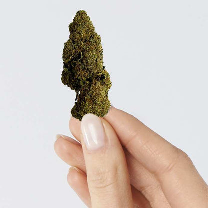 Fleur de CBD - RASPBERRY HAZE – détail 3