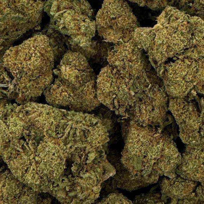 Fleur de CBD - RASPBERRY HAZE