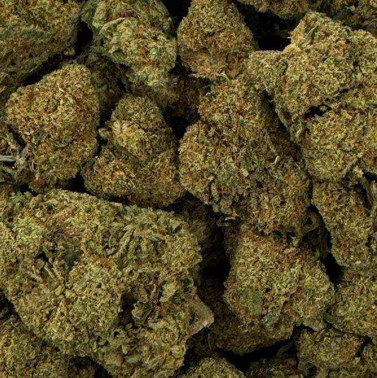 Fleur de CBD - RASPBERRY HAZE