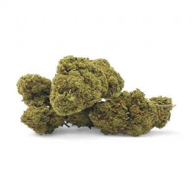 Fleur de CBD San Francisco – vue principale
