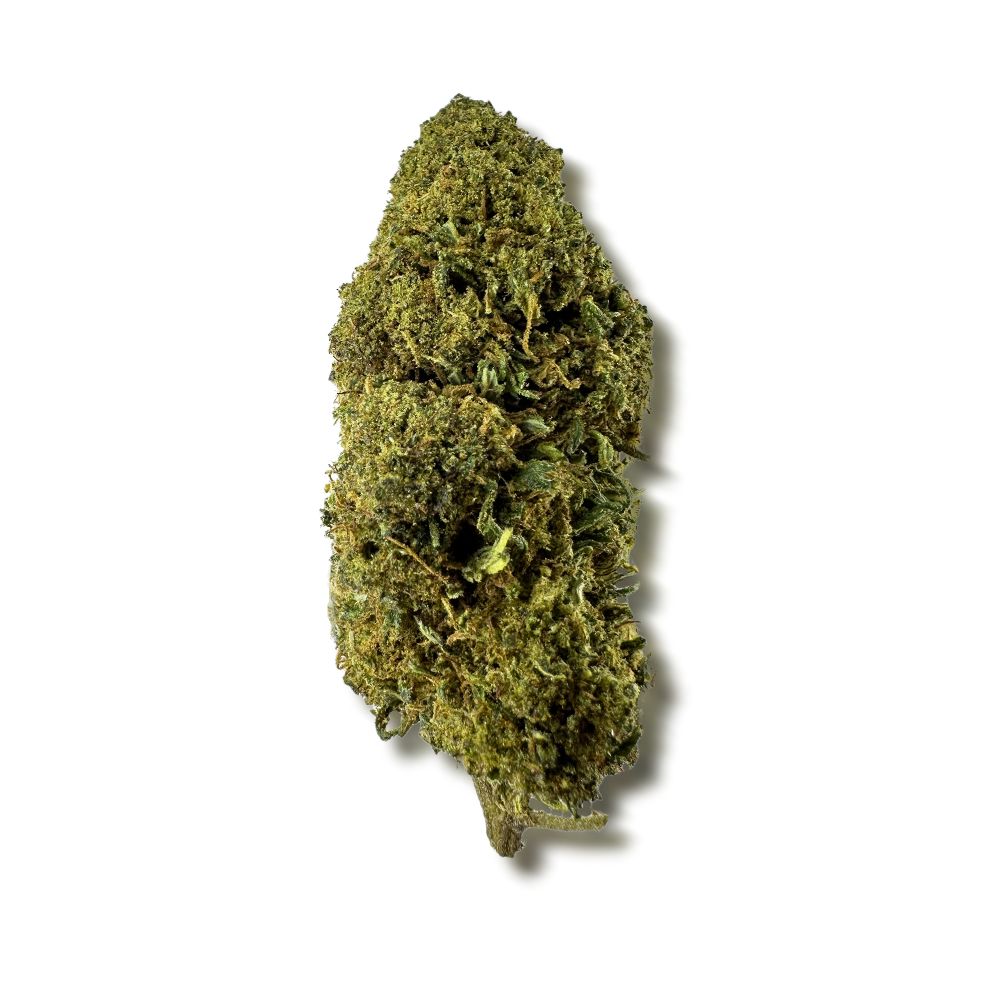 Fleur de CBD MCP-N 20% – vue principale