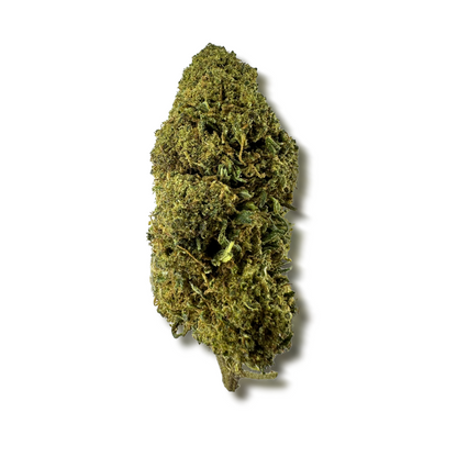 Fleur de CBD MCP-N 20% – vue principale