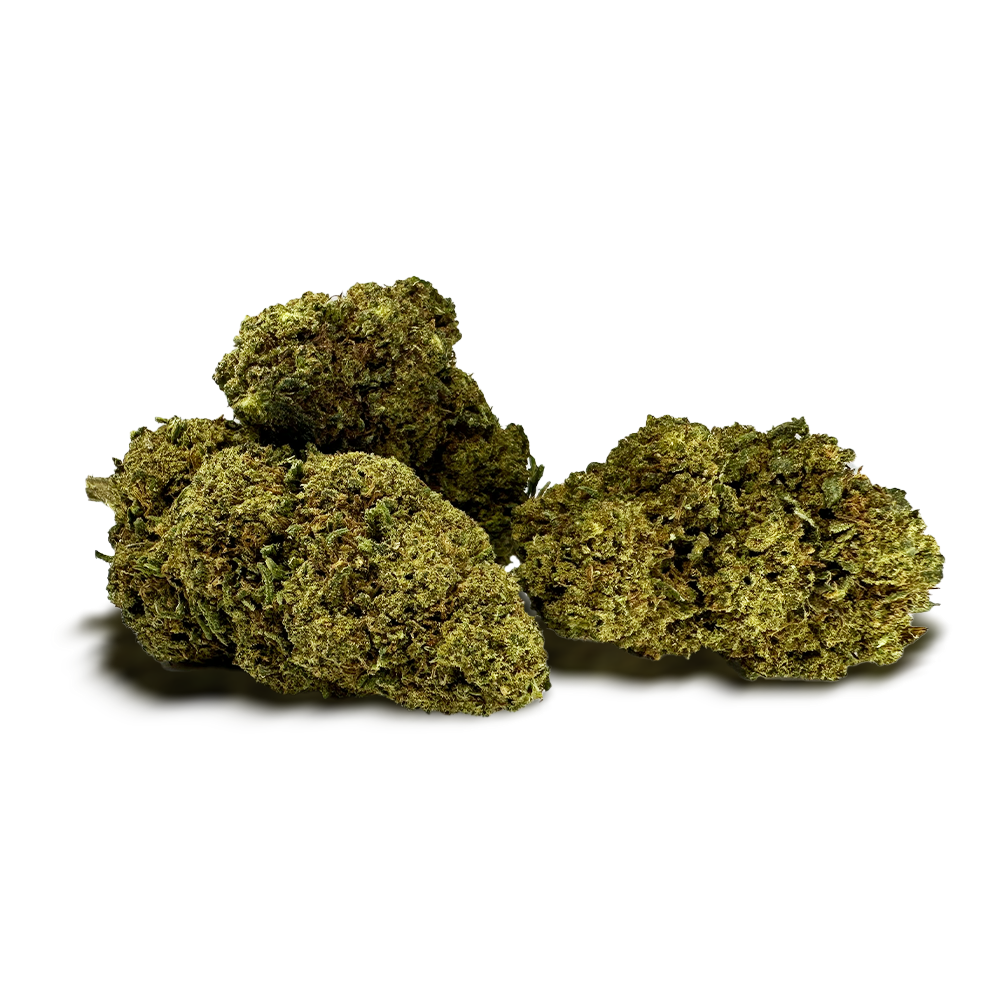 Fleur de CBD MCP-N 20% – détail 2