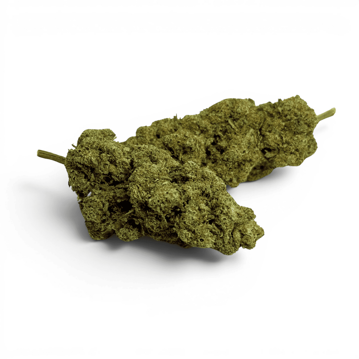 Fleur CBD Gelato Glue Indoor – détail 3