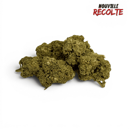 Fleur CBD Amnesia 2.0 Indoor – vue principale