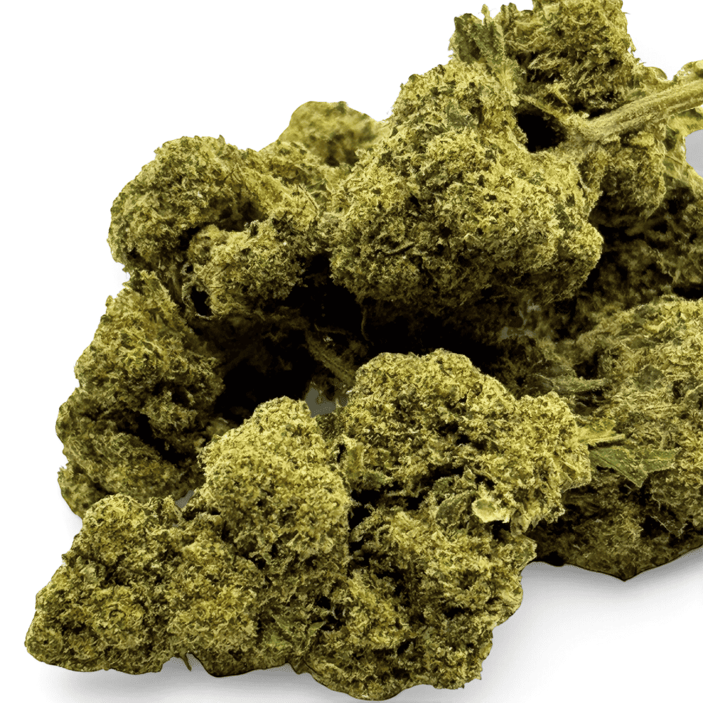 Fleur de CBD Orange Bud Greenhouse – détail 2