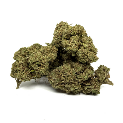 Fleur de CBD White Widow Greenhouse – vue principale