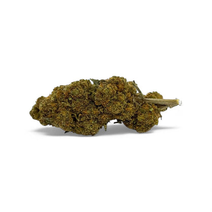 Fleur CBD Critical+ Greenhouse 8% – détail 4