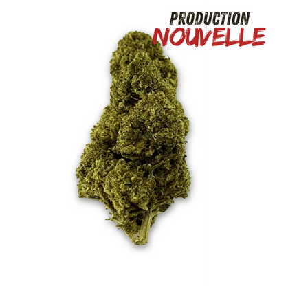 Fleur de CBD Green Crack Indoor Edition Limitée – vue principale