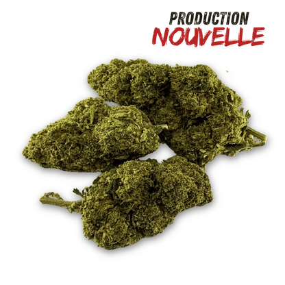 Fleur de CBD Green Crack Indoor Edition Limitée – détail 3