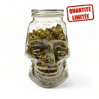 Fleurs CBD Small Bud Skull 25GR - Édition Limitée Halloween - CBDelys