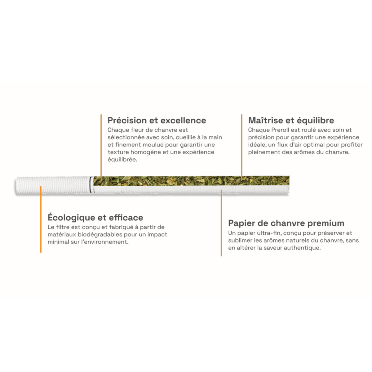 Cigarettes CBD Amnesia COAST - CBDelys