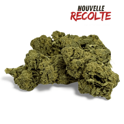 Fleur de CBD Candy Kush Greenhouse – vue principale