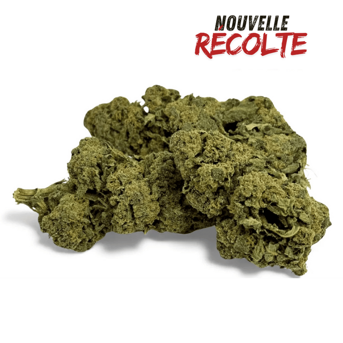 Fleur de CBD Candy Kush Greenhouse – vue principale