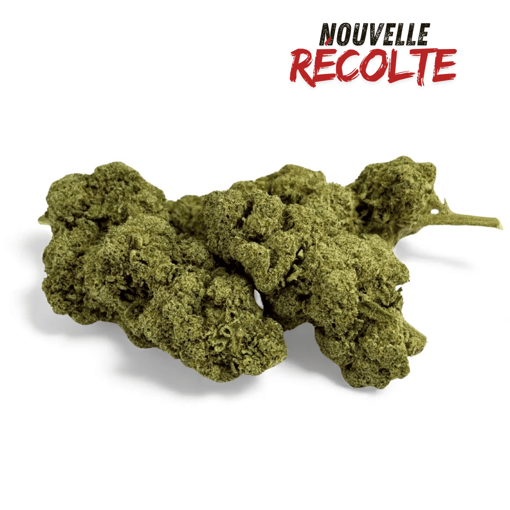 Fleur de CBD Grape Gas Greenhouse – vue principale