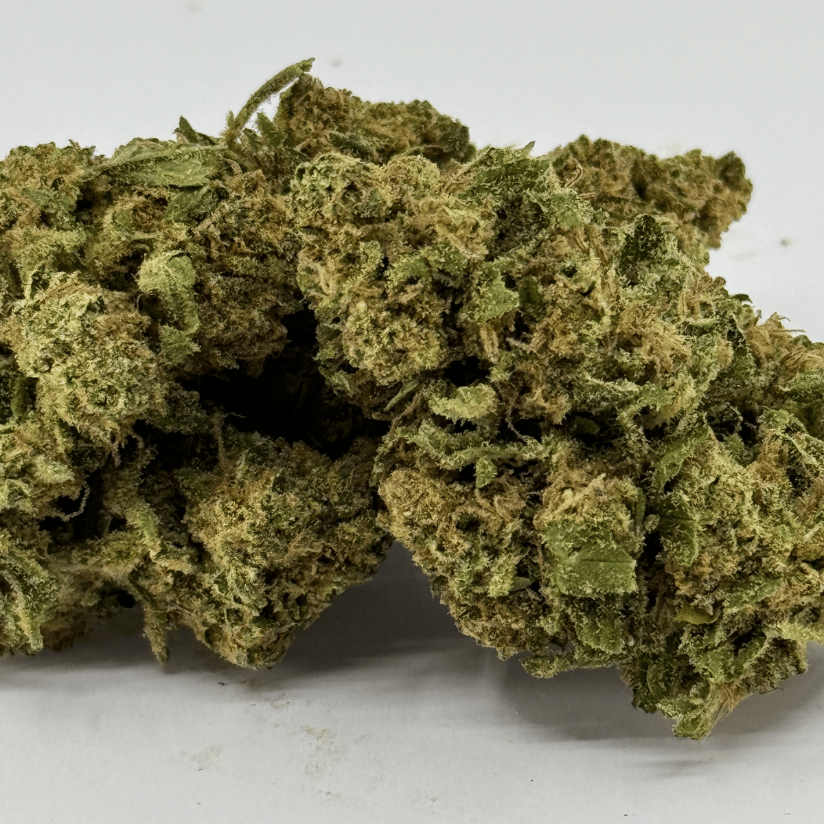 Fleur de CBD Super White Frost Greenhouse – détail 5