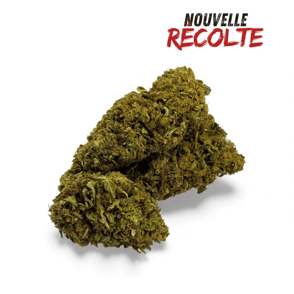 Fleur de CBD Sour Lime Haze Greenhouse – vue principale