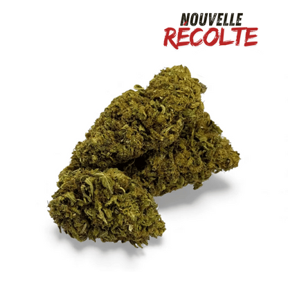 Fleur de CBD Sour Lime Haze Greenhouse – vue principale