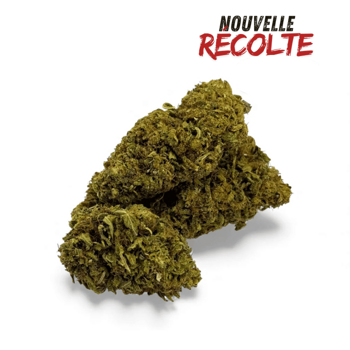 Fleur de CBD Sour Lime Haze Greenhouse – vue principale