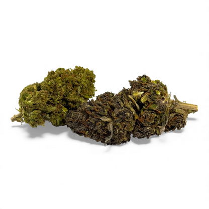 Fleur de CBD Mandarine Haze Greenhouse – détail 4