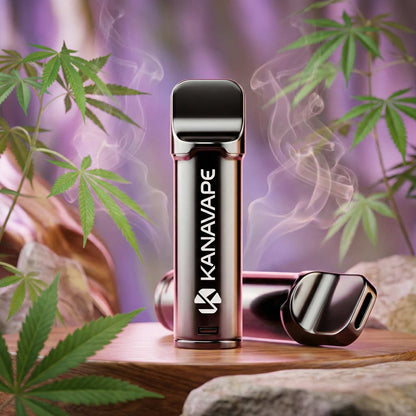 Pod CBD Kanavape Purple Punch 2x2ml - 400mg CBD – détail 2