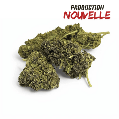 Fleur CBD Saphire Hybride Indoor – détail 2