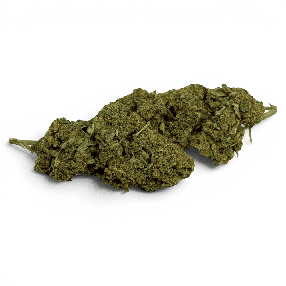 Fleur de CBD Super Silver Haze Indoor – détail 2