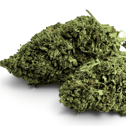 Fleur de CBD AK-47 Indoor – détail 3