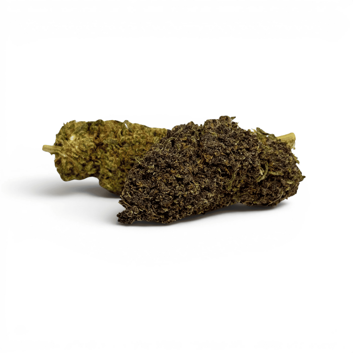 Fleur Purple Haze CBDX (CBD Xtrem) Indoor 20% – détail 2