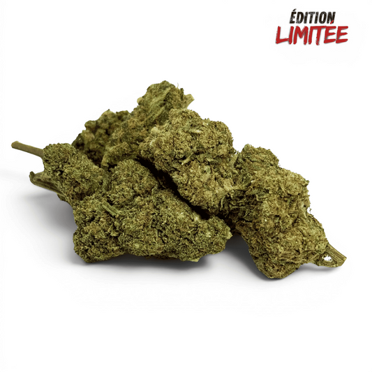 Fleur Candy Kush CBDX (CBD Xtrem) Greenhouse 20% – vue principale