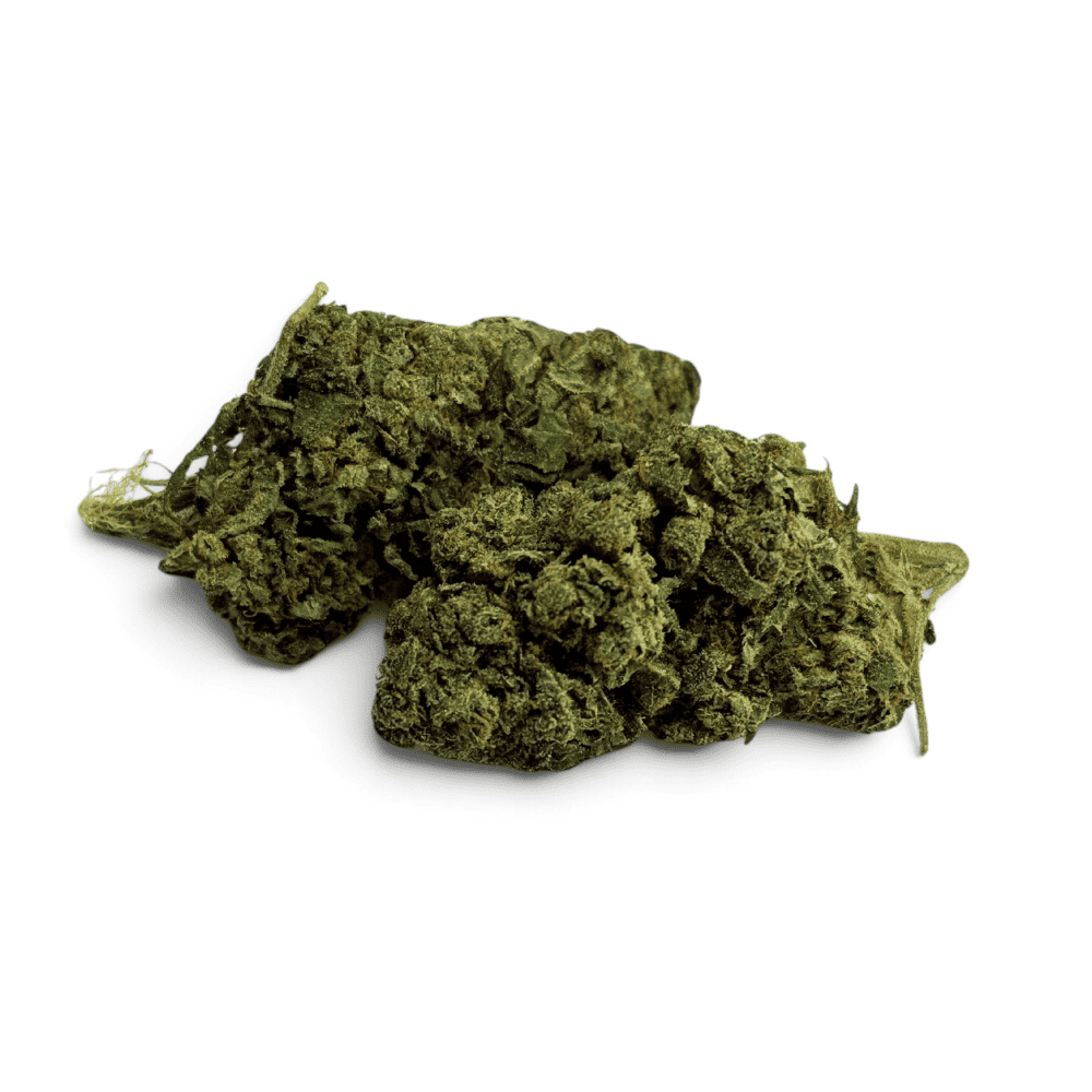 Fleur de CBD Tropical Haze Indoor – détail 3