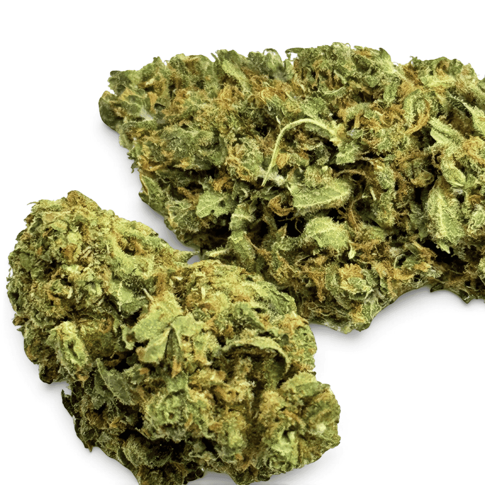 Fleur de CBD Mango Kush Indoor – détail 4