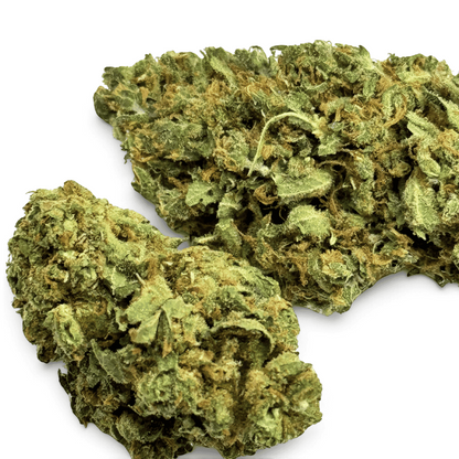 Fleur de CBD Mango Kush Indoor – détail 4