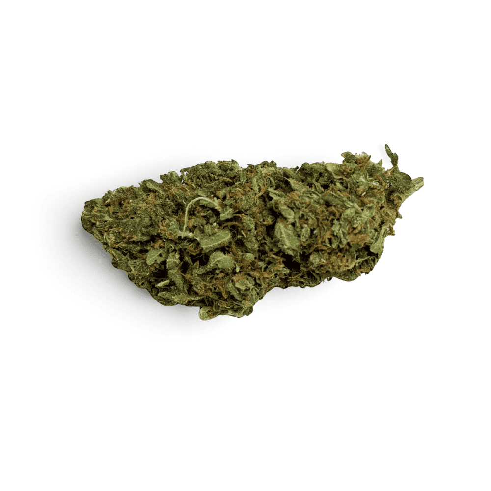 Fleur de CBD Mango Kush Indoor – détail 5