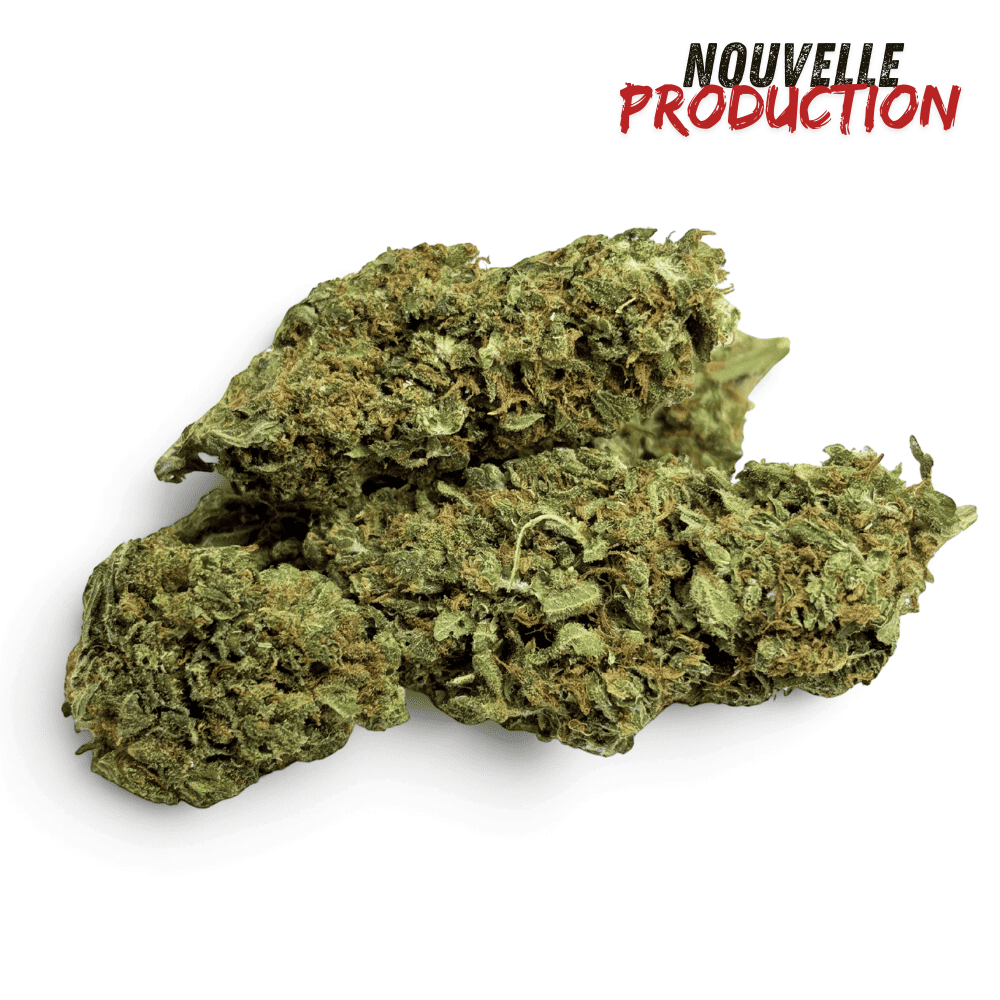 Fleur de CBD Mango Kush Indoor – vue principale